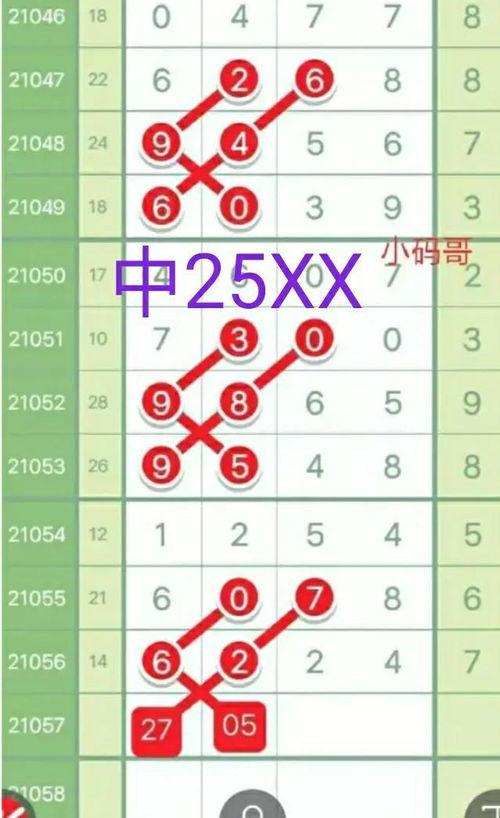 排五什么开奖结果,惊喜连连，幸运数字揭晓！”