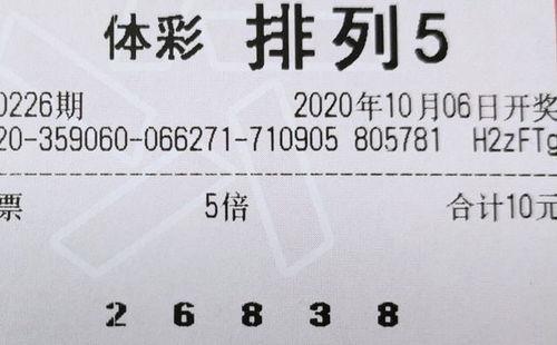 排五什么开奖结果,惊喜连连，幸运数字揭晓！”