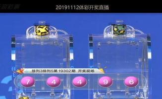 开码结果询开奖,探寻开奖背后的秘密