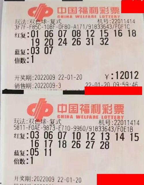 双色球幸运券怎样扫码,轻松掌握中奖秘诀